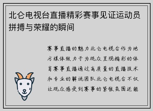 北仑电视台直播精彩赛事见证运动员拼搏与荣耀的瞬间